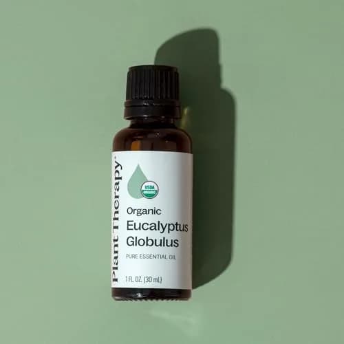 Plant Therapy Organic Eucalyptus Globulus Essential Oil 30 mL | Respiratory & Focus Support thumbnail 6