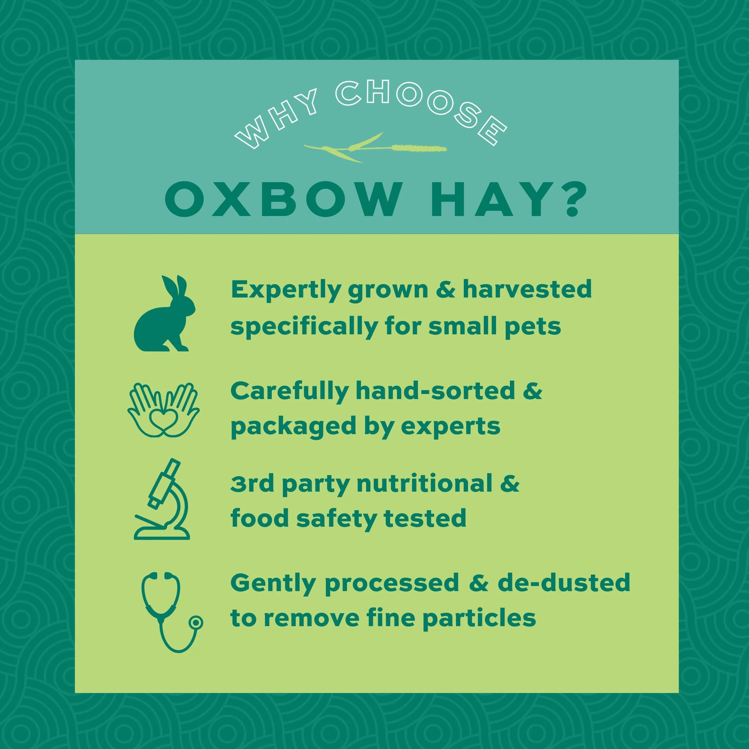 Oxbow Western Timothy Hay for Rabbits & Guinea Pigs, 2551 g (90 oz) | High Fiber, USA-Grown - view 4