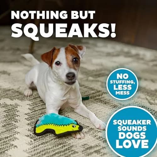 Outward Hound Durablez Minis Hedgehog Dog Toy 7" (17.8 cm) | Tough Chew Squeaker for Small Dogs thumbnail 4