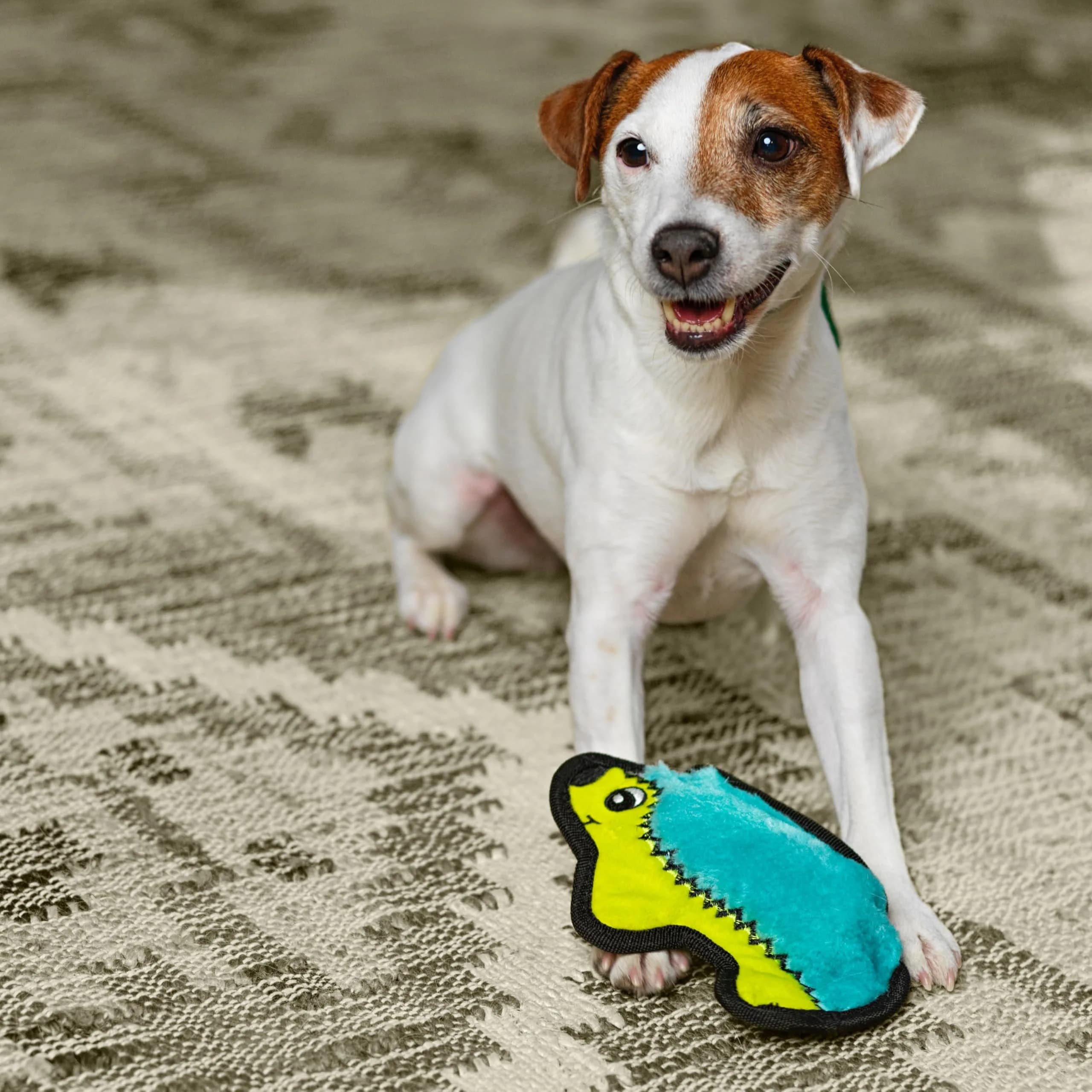 Outward Hound Durablez Minis Hedgehog Dog Toy 7" (17.8 cm) | Tough Chew Squeaker for Small Dogs - view 5