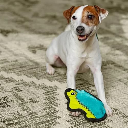 Outward Hound Durablez Minis Hedgehog Dog Toy 7" (17.8 cm) | Tough Chew Squeaker for Small Dogs thumbnail 5