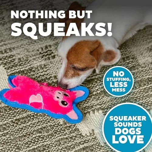 Outward Hound Durablez Minis Tough Chew Plush Squeaky Dog Toy Pig 17.3 cm (6.8") | Stuffing-Free Interactive Play thumbnail 4