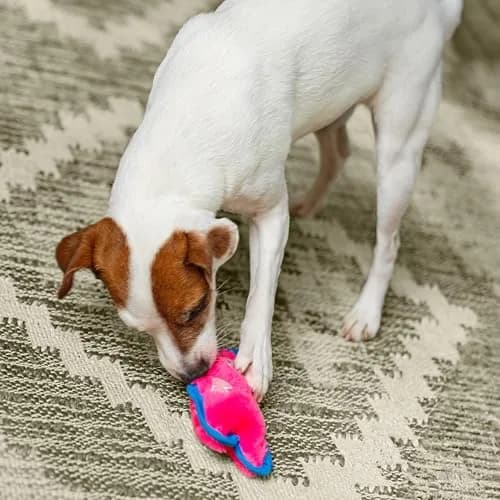 Outward Hound Durablez Minis Tough Chew Plush Squeaky Dog Toy Pig 17.3 cm (6.8") | Stuffing-Free Interactive Play thumbnail 5