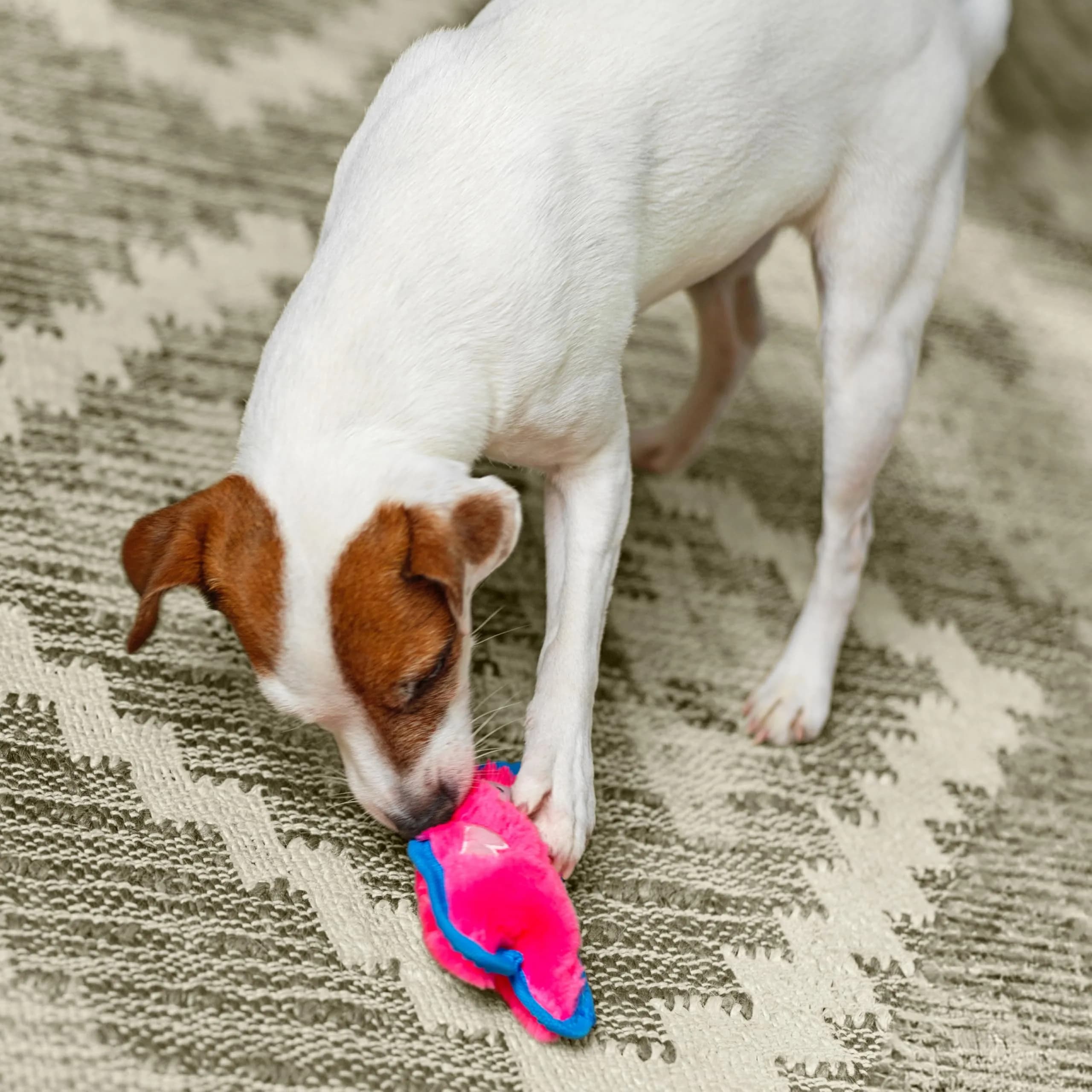 Outward Hound Durablez Minis Tough Chew Plush Squeaky Dog Toy Pig 17.3 cm (6.8") | Stuffing-Free Interactive Play - view 5