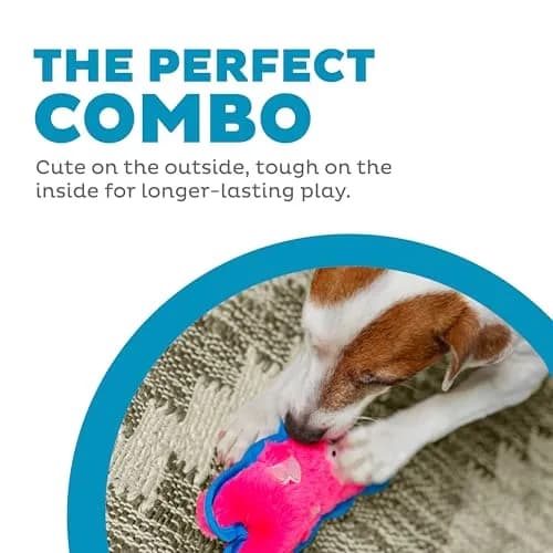 Outward Hound Durablez Minis Tough Chew Plush Squeaky Dog Toy Pig 17.3 cm (6.8") | Stuffing-Free Interactive Play thumbnail 2