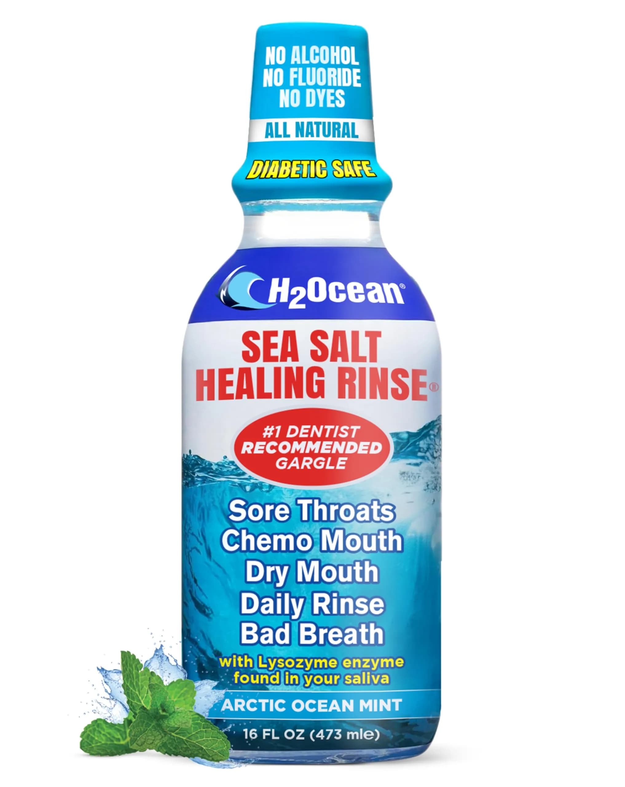 H2Ocean Healing Rinse Natural Sea Salt Whitening Mouthwash 8 oz | Alcohol & Fluoride-Free Arctic Mint — Arctic Ocean Mint / 16 Fl Oz