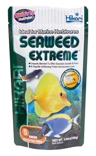 Hikari Seaweed Extreme Fish Food Pellets 100g (3.52 oz) | High Seaweed Content for Herbivorous & Omnivorous Aquarium Fish thumbnail 1