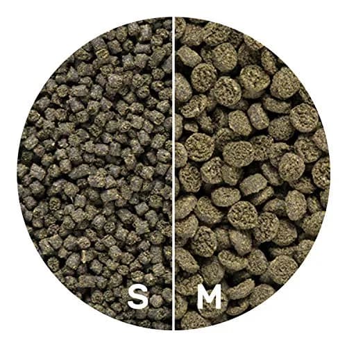 Hikari Seaweed Extreme Fish Food Pellets 100g (3.52 oz) | High Seaweed Content for Herbivorous & Omnivorous Aquarium Fish thumbnail 4
