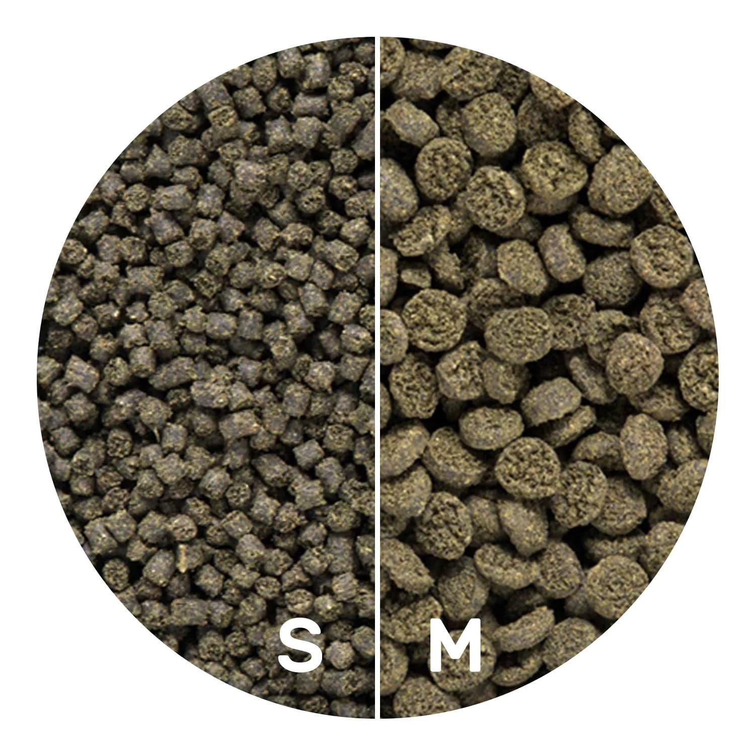Hikari Seaweed Extreme Fish Food Pellets 100g (3.52 oz) | High Seaweed Content for Herbivorous & Omnivorous Aquarium Fish - view 4