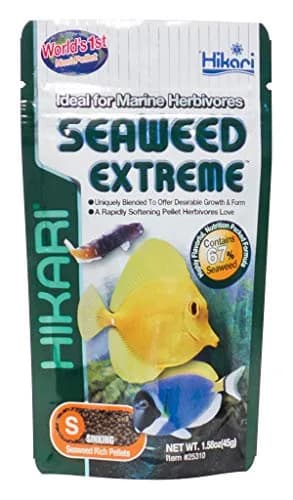 Hikari Seaweed Extreme Floating Pellets for Marine Herbivores 45g (1.58oz) | Promotes Growth & Immunity thumbnail 1