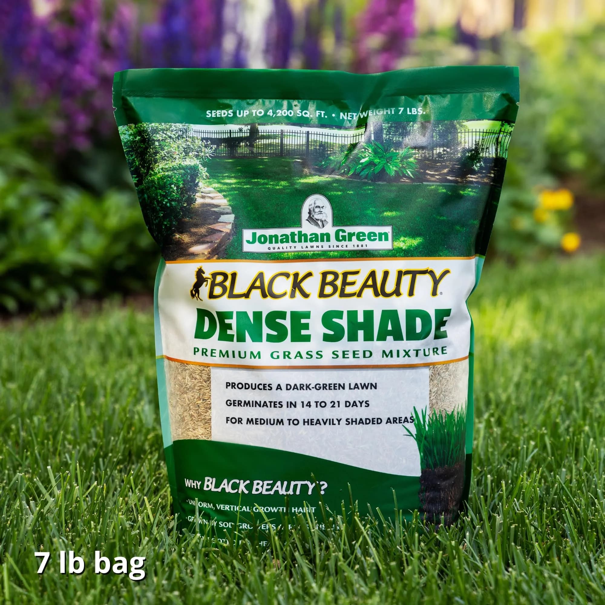 Jonathan Green Black Beauty Dense Shade Grass Seed 3.18 kg (7 lb) | Cool Season Lawn Seed for Partial Sun - view 4