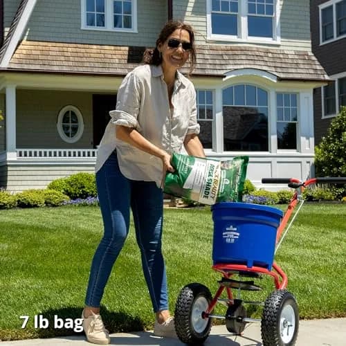 Jonathan Green Black Beauty Dense Shade Grass Seed 3.18 kg (7 lb) | Cool Season Lawn Seed for Partial Sun thumbnail 3
