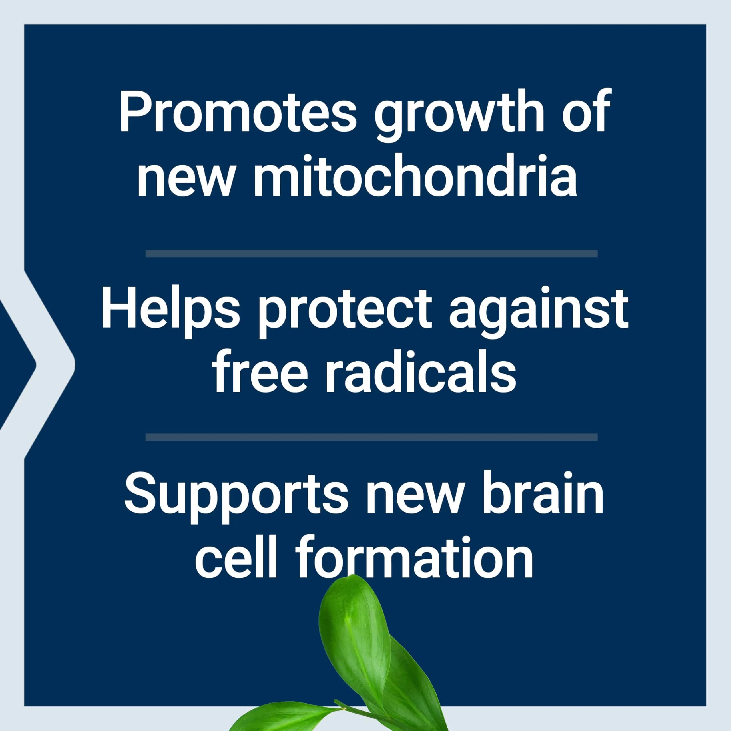Life Extension Mitochondrial Basics with PQQ, L-Taurine, R-lipoic Acid 30 Capsules | Foundational Supplement for Cellular Energy Production, Brain and Heart Health - view 4