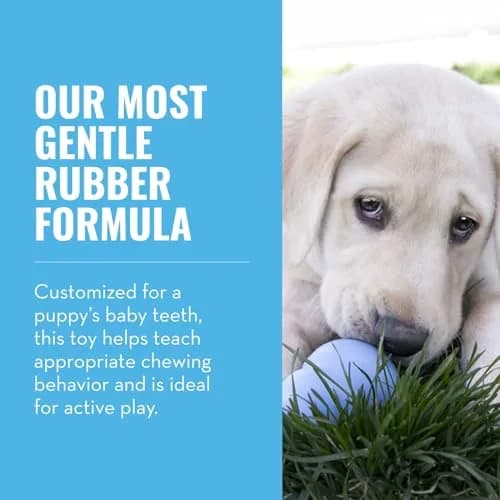 KONG Puppy Natural Rubber Teething Chew Toy for XS Puppies | Gentle, Bounce & Stuffable thumbnail 3