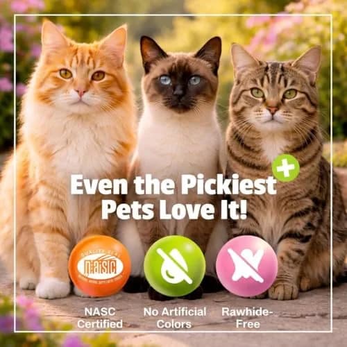 Pet Naturals Lysine Chews for Cats, Chicken Flavor, 60 Count | Immune & Respiratory Support for Cats thumbnail 12