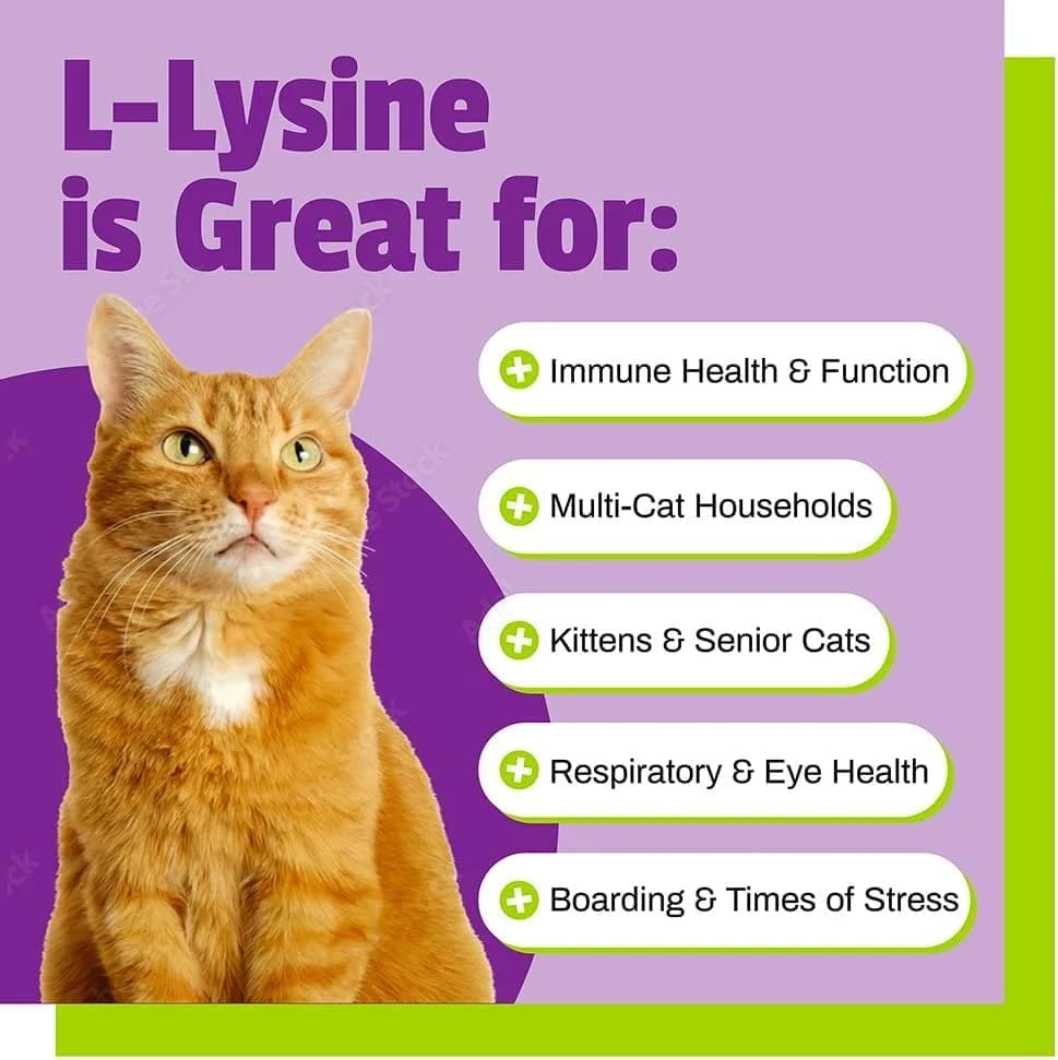 Pet Naturals Lysine Chews for Cats, Chicken Flavor, 60 Count | Immune & Respiratory Support for Cats thumbnail 5