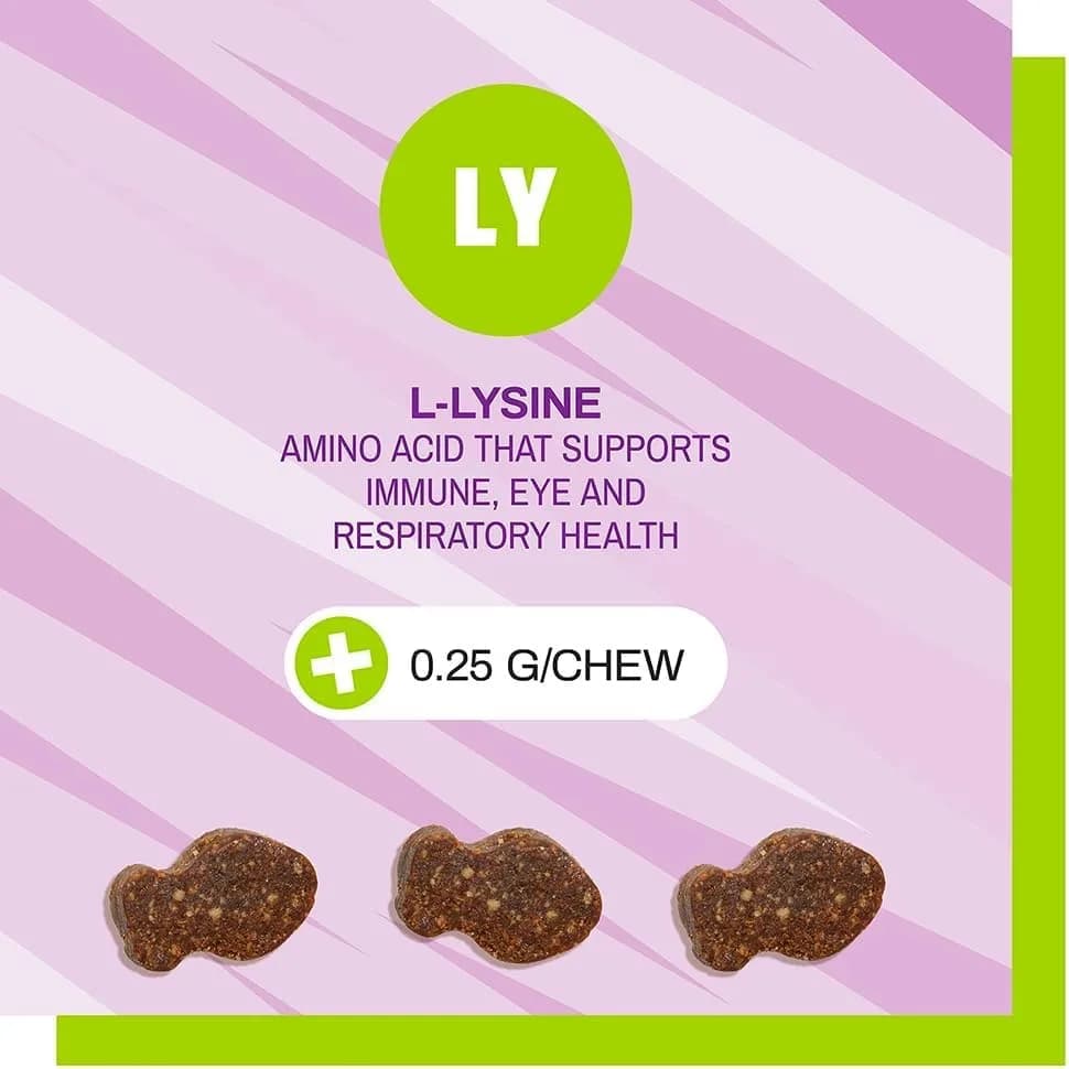 Pet Naturals Lysine Chews for Cats, Chicken Flavor, 60 Count | Immune & Respiratory Support for Cats thumbnail 7