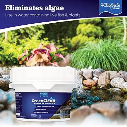 BioSafe Systems GreenClean Granular Algaecide 20 lbs | Fast-Acting Pond & Water Feature Treatment thumbnail 3