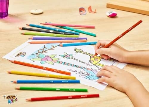 BIC Kids Tropicolors Colouring Pencils - Assorted Colours, Wallet of 24 | Bright, Non-Toxic, Easy to Hold thumbnail 4