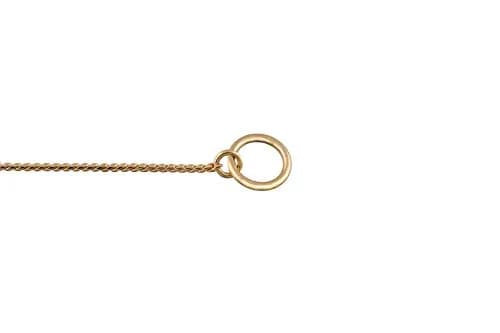 alvalley Metal Chain Dog Show Collar - Brass Snake Chain, 18" | Adjustable for All Dog Sizes thumbnail 3