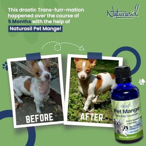 Naturasil Mange Treatment Dogs & Cats | Natural Lime Sulfur Dip 50 mL for Animal Mange thumbnail 3