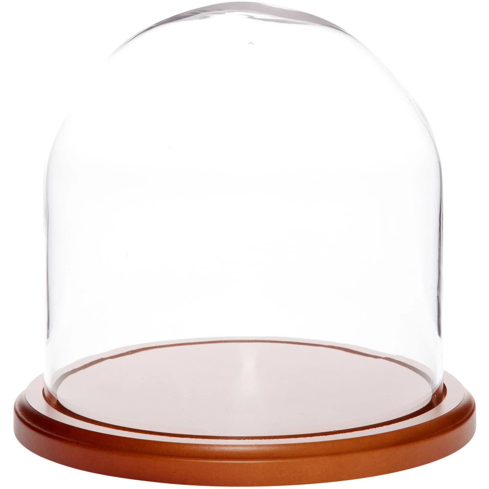 Plymor Glass Display Dome Cloche 8" x 8" Walnut MDF Base | Elegant Home & Retail Decor