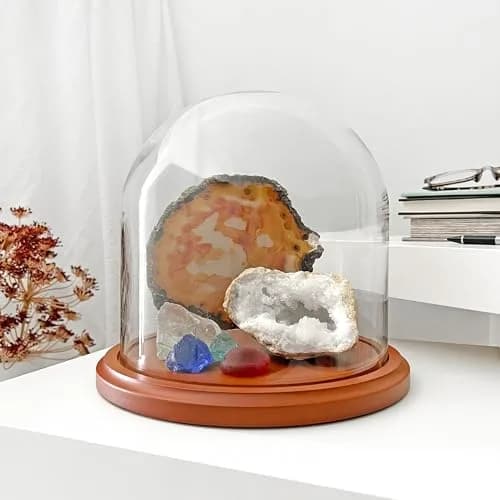 Plymor Glass Display Dome Cloche 8" x 8" Walnut MDF Base | Elegant Home & Retail Decor thumbnail 2