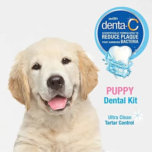 Nylabone Puppy Dental Kit | Advanced Oral Care for Puppies, 3 Count | Promote Healthy Teeth & Gums thumbnail 4
