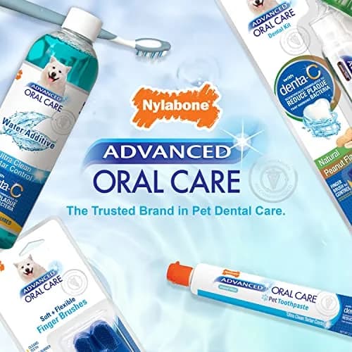 Nylabone Puppy Dental Kit | Advanced Oral Care for Puppies, 3 Count | Promote Healthy Teeth & Gums thumbnail 7