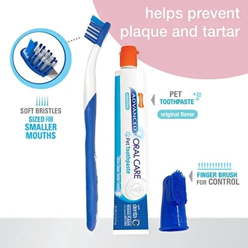 Nylabone Puppy Dental Kit | Advanced Oral Care for Puppies, 3 Count | Promote Healthy Teeth & Gums thumbnail 2