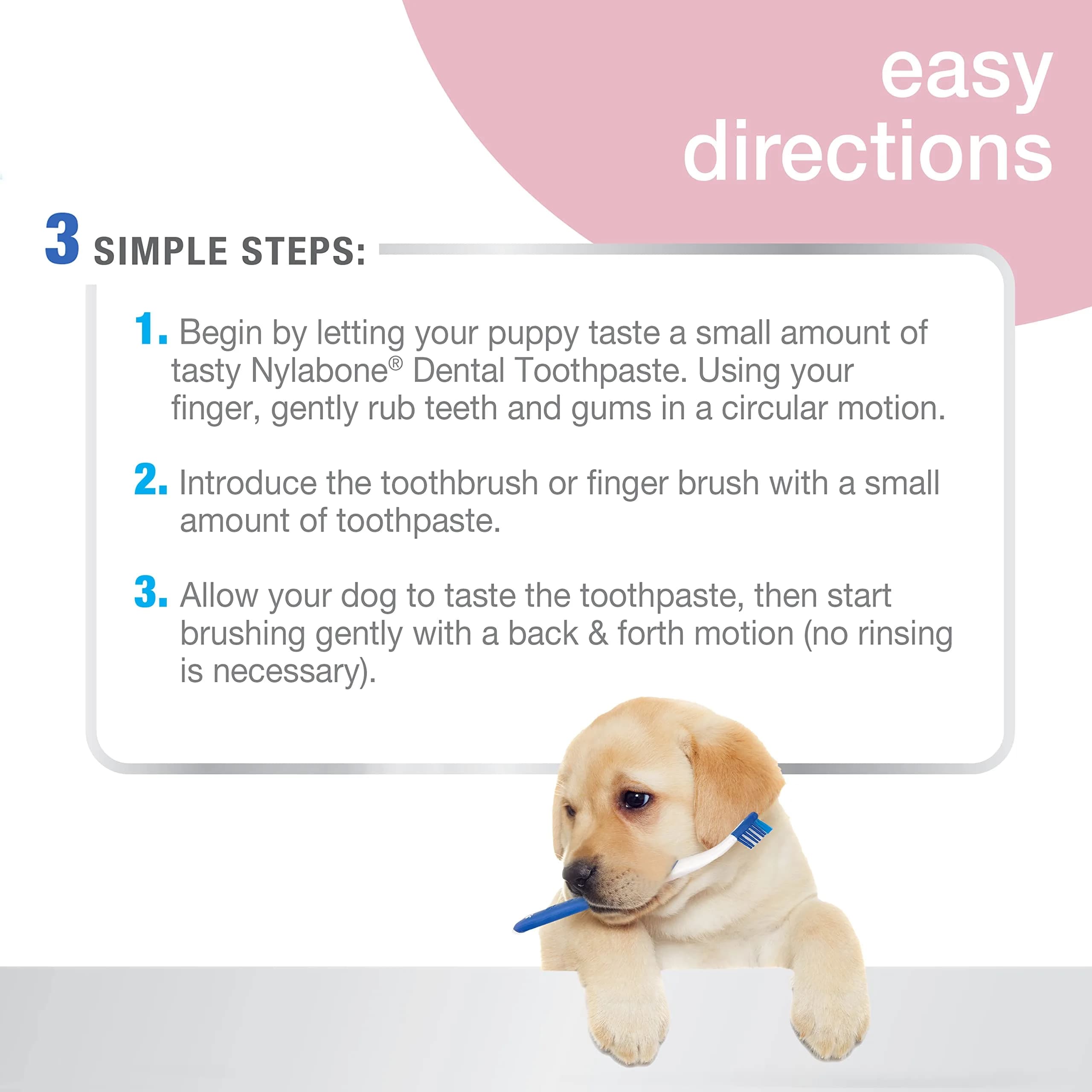 Nylabone Advanced Oral Care Puppy Dental Kit Puppy Original 3 Count thumbnail 3
