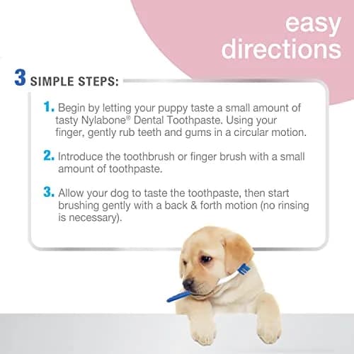 Nylabone Puppy Dental Kit | Advanced Oral Care for Puppies, 3 Count | Promote Healthy Teeth & Gums thumbnail 3