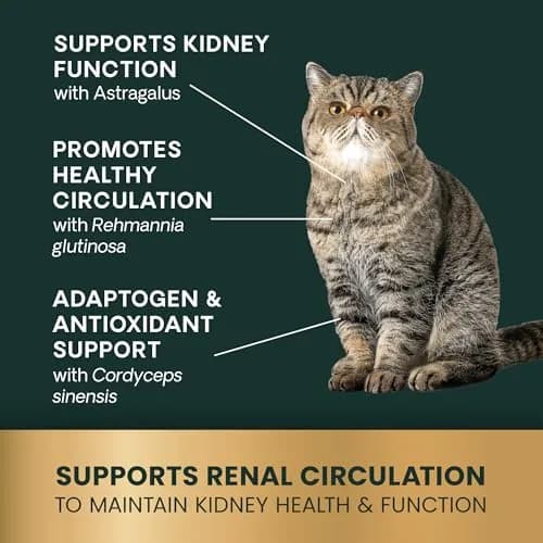 VetriScience Kidney Health Chews for Cats, 120 Count | Supports Kidney Function & Hydration thumbnail 5
