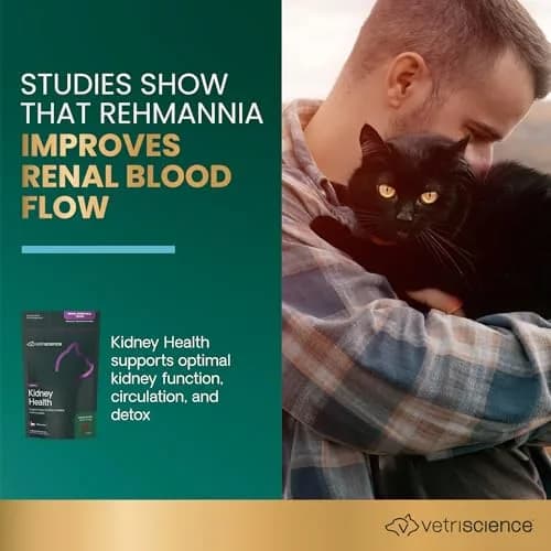 VetriScience Kidney Health Chews for Cats, 120 Count | Supports Kidney Function & Hydration thumbnail 3