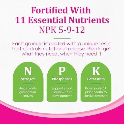 Osmocote Smart-Release Plant Food Plus Outdoor & Indoor Granular Fertilizer 0.45 kg (1 lb) | Continuous Release Nutrition for All Plants thumbnail 4