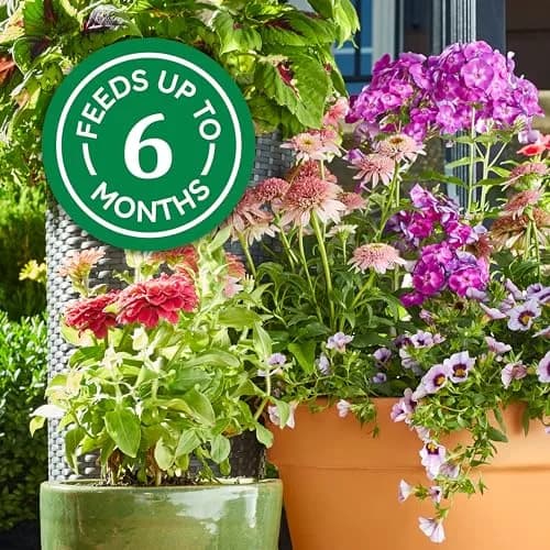 Osmocote Smart-Release Plant Food Plus Outdoor & Indoor Granular Fertilizer 0.45 kg (1 lb) | Continuous Release Nutrition for All Plants thumbnail 5