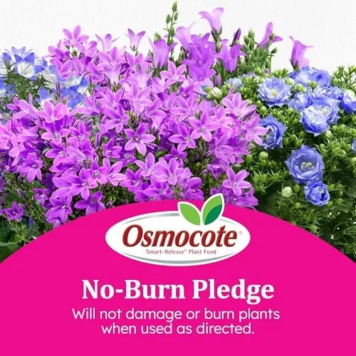 Osmocote Smart-Release Plant Food Plus Outdoor & Indoor Granular Fertilizer 0.45 kg (1 lb) | Continuous Release Nutrition for All Plants thumbnail 7