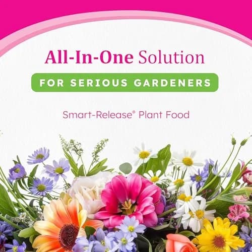 Osmocote Smart-Release Plant Food Plus Outdoor & Indoor Granular Fertilizer 0.45 kg (1 lb) | Continuous Release Nutrition for All Plants thumbnail 2
