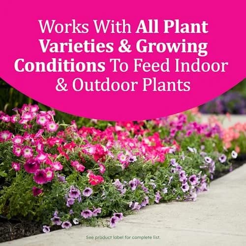Osmocote Smart-Release Plant Food Plus Outdoor & Indoor Granular Fertilizer 0.45 kg (1 lb) | Continuous Release Nutrition for All Plants thumbnail 3
