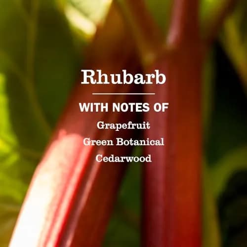 Mrs. MEYER'S Hand Soap Rhubarb Scent | Moisturizing, Garden-Inspired Fragrance (70-120 chars) thumbnail 2