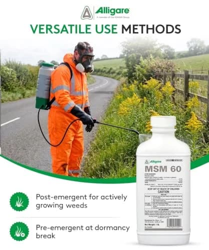 ALLIGARE MSM 60 DF - Selective Broadleaf Weed & Brush Killer 16 oz | Economical, Targeted Control thumbnail 5