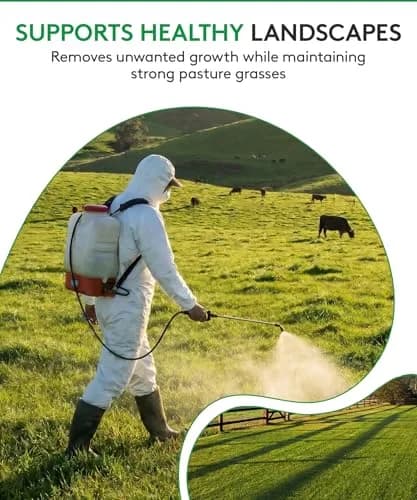 ALLIGARE MSM 60 DF - Selective Broadleaf Weed & Brush Killer 16 oz | Economical, Targeted Control thumbnail 6