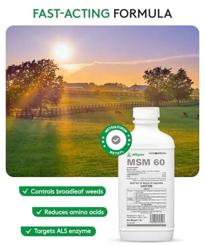 ALLIGARE MSM 60 DF - Selective Broadleaf Weed & Brush Killer 16 oz | Economical, Targeted Control thumbnail 2