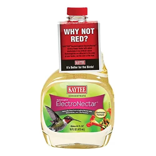 Kaytee Hummingbird ElectroNectar 16 Fl Oz | Hydrating Energy Drink for Wild Birds thumbnail 1