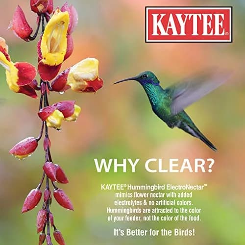 Kaytee Hummingbird ElectroNectar 16 Fl Oz | Hydrating Energy Drink for Wild Birds thumbnail 3