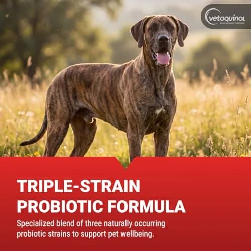 Vetoquinol Azodyl Probiotic Supplement 90 Count Capsules | Essential Kidney Support for Dogs & Cats thumbnail 5