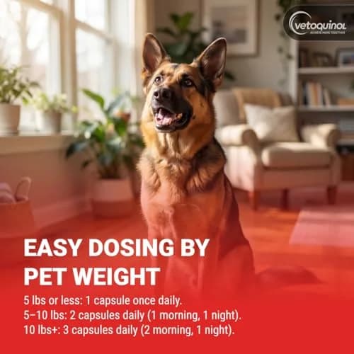 Vetoquinol Azodyl Probiotic Supplement 90 Count Capsules | Essential Kidney Support for Dogs & Cats thumbnail 6