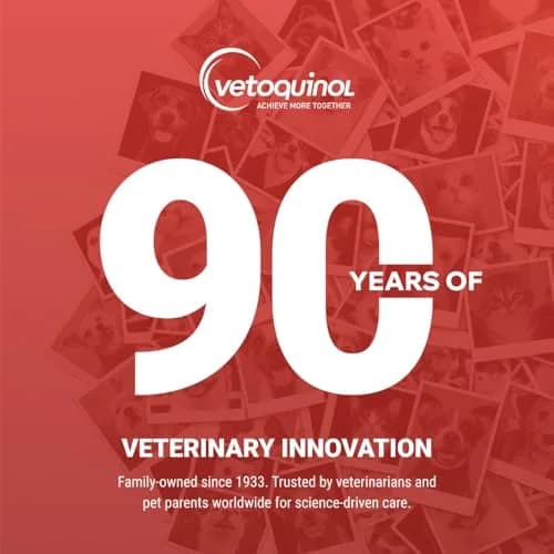 Vetoquinol Azodyl Probiotic Supplement 90 Count Capsules | Essential Kidney Support for Dogs & Cats thumbnail 8