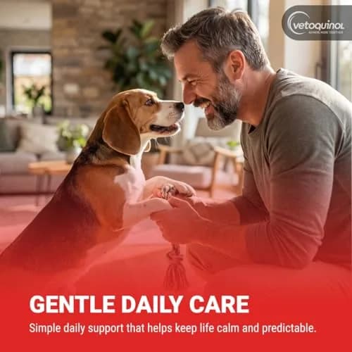 Vetoquinol Azodyl Probiotic Supplement 90 Count Capsules | Essential Kidney Support for Dogs & Cats thumbnail 9