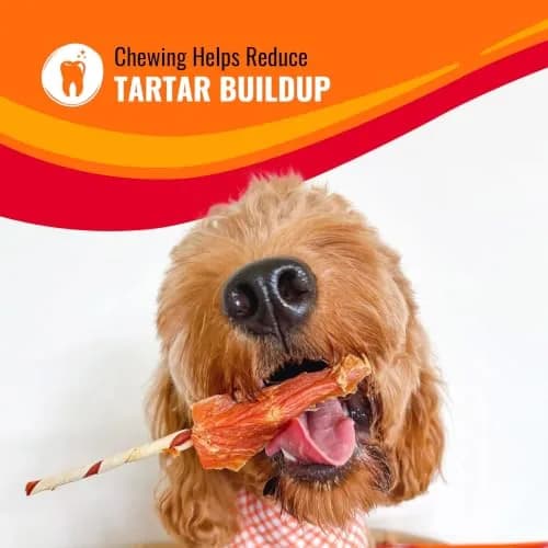 Good 'n' Fun Triple Flavor Kabobs Dog Treats 113g (4 oz) | Long-Lasting Protein Chews for All Dog Breeds thumbnail 7